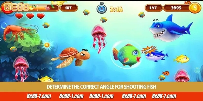 Determine the correct angle for shooting fish