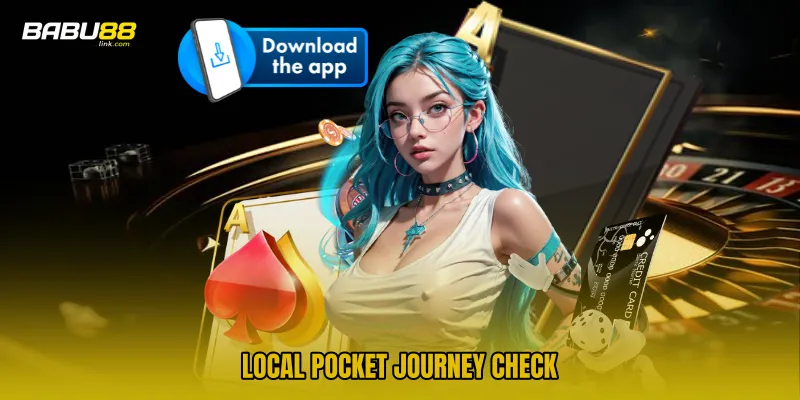 Local pocket journey check